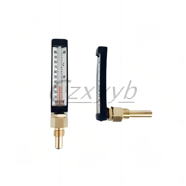 XY-021 Black Case Thermometer